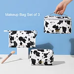 Makeup suitcase